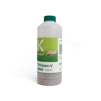 Beneficial Thripex-V 50,000pk (03970)